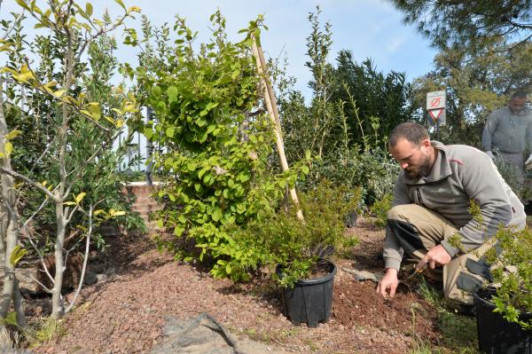 Pulizia e cura del giardino