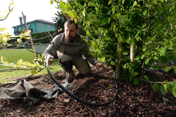 Disinfestazione da zanzare, blatte ed altri insetti nocivi