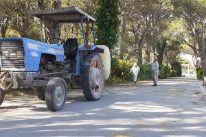 Trattamento antiparassitario del Campeggio "Cà Savio"