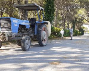 Trattamento antiparassitario del Campeggio "Cà Savio"