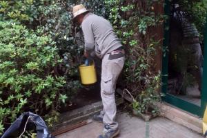 Manutenzione giardino a Fondamenta Nani