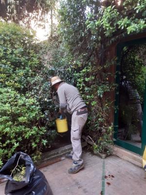 Manutenzione giardino a Fondamenta Nani